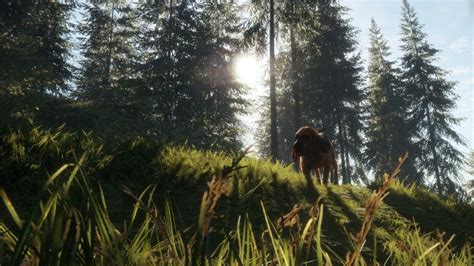 Buy theHunter: Call of the Wild - Essentials DLC Bundle (PC) - Steam ...