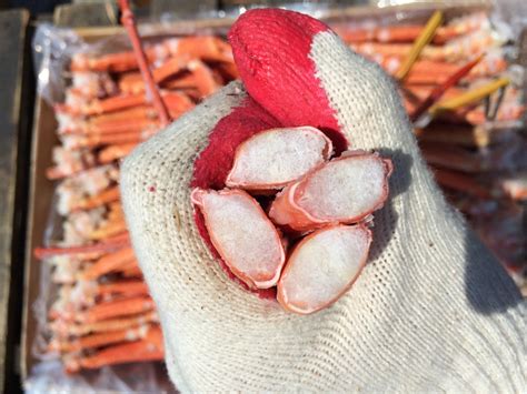 Краб-стригун японикус, ангулятус