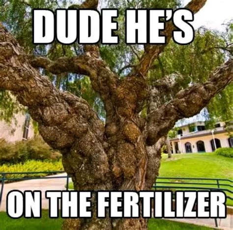 All Natural My Ass Funny