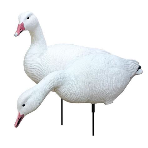 WHITE ROCK DECOYS Collapsible Full Body Snow Geese Decoys FULLSG | eBay