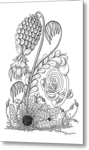 Carolina Bog Drawing By Olivia H Keirstead