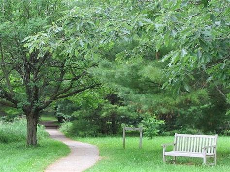 University Of Guelpharboretum Great Runs