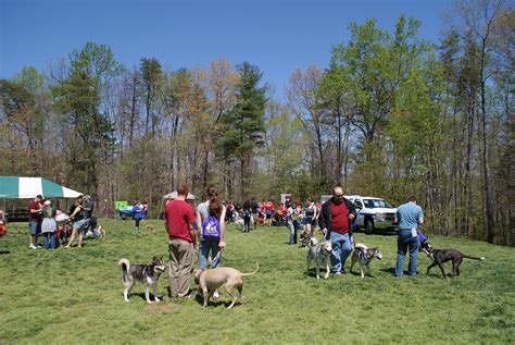 Prince William County Dogs to Host a Dog Walk on April 26 | Prince ...