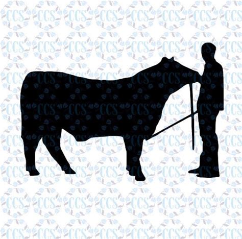 Download Show Cow Svg Livestock Show Etsy