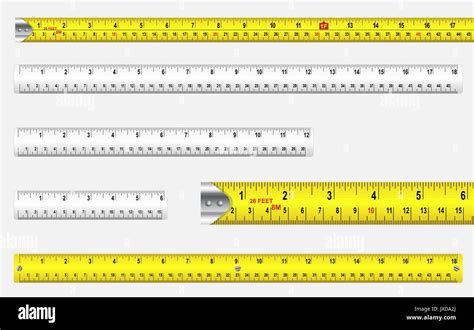 Rulers And Tape Measures With Metric And Imperial Markings Vector Stock