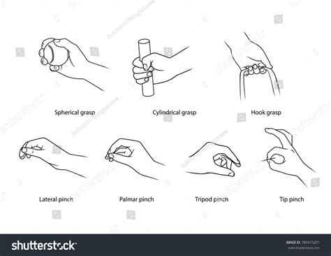 Human Basic Hand Pattern Sample Object Stock Vector Royalty Free