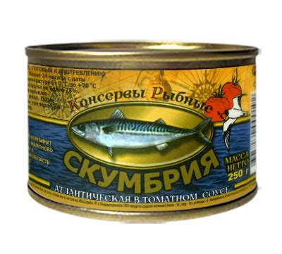 Купить рыбные консервы из атлантической скумбрии в томатном соусе оптом ...