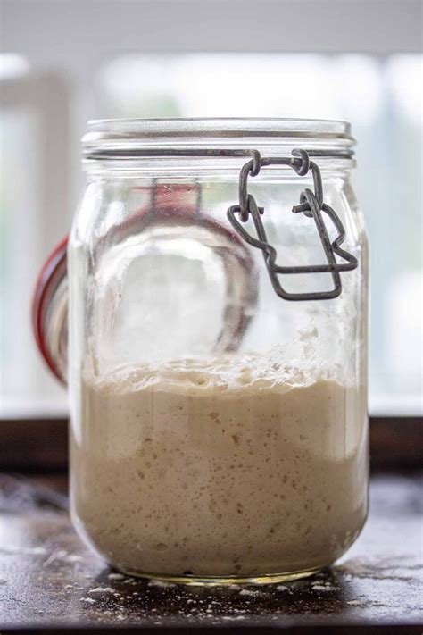 How to make a poolish starter for bread and pizza – Milk and Pop