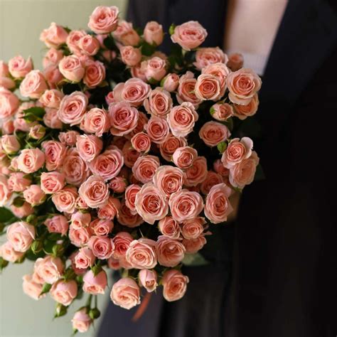 Кустовые розы под ленту