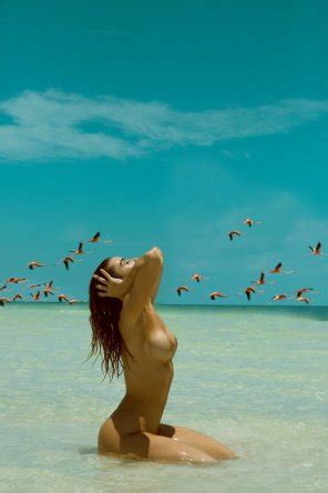 Pink Flamingos Porn Pic