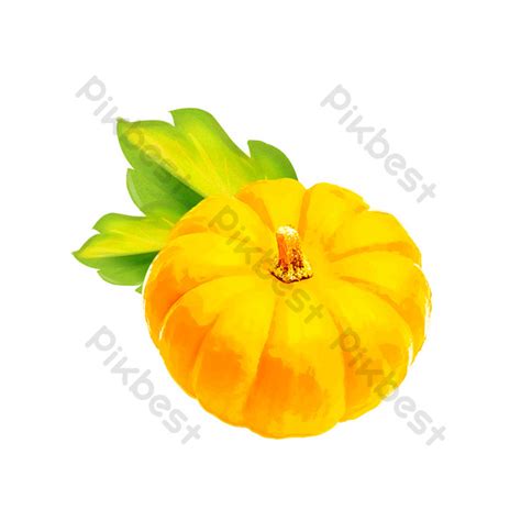 Drawing Illustration Pumpkin Commercial Elements Ai Png Images Free
