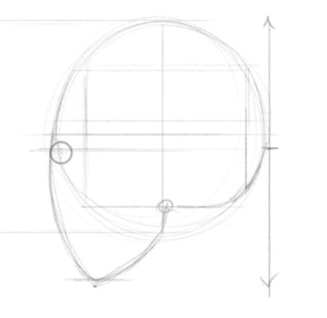 How To Draw A Face Profile Forcesurgery24