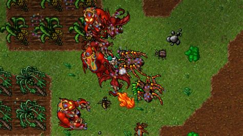 Jogos Estilo Tibia - Melhores Jogos Parecidos com Tibia (2025)
