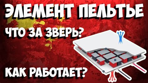 Элемент Пельтье - как работает и что умеет? Примеры работы! - YouTube