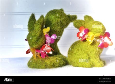 Rabbit Topiary Hi Res Stock Photography And Images Alamy