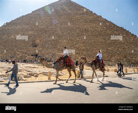 Tourist On A Camel Ride In Front Of The Great Pyramid Of Giza The Oldest Of The Seven Wonders