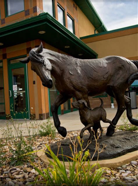 Gillette, Wyoming, Lion Sculpture, Horses, Statue, Animals, Art, Art