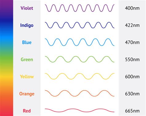 Rainbow Colors Names