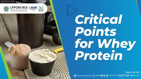 Whey Protein and Its Halal Aspects