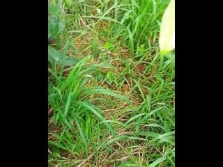 Jakol 户外路边续集有人跟着我 Musk Man Pornhub Gay