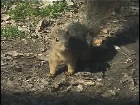 Sexy Blonde With Big Tits Is Fucked By Hippy Dude S Big Cock On Couch Xhamster