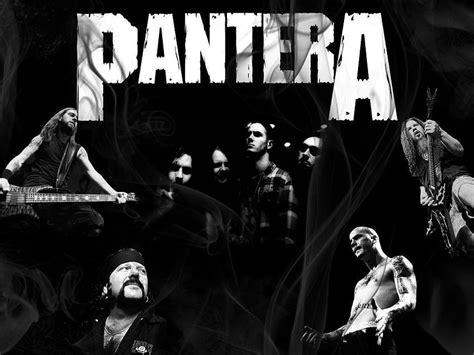 Pantera Hd Wallpaper Pxfuel