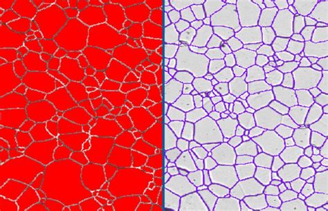 grain size analysis  titanium clemex