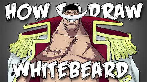 Draw Whitebeard From One Piece Quick Simple Easy How To Steps For