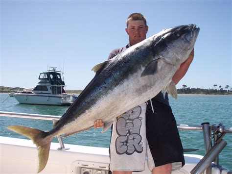Pursuit - The Fishing Website