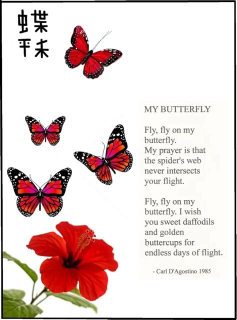 Butterfly Poems