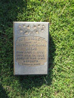 Ivy Violet Beers M Morial Find A Grave