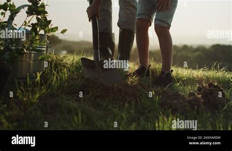 grandfather grandson planting tree stock  footage hd