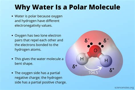 polarity  water molecule waters polarity weos