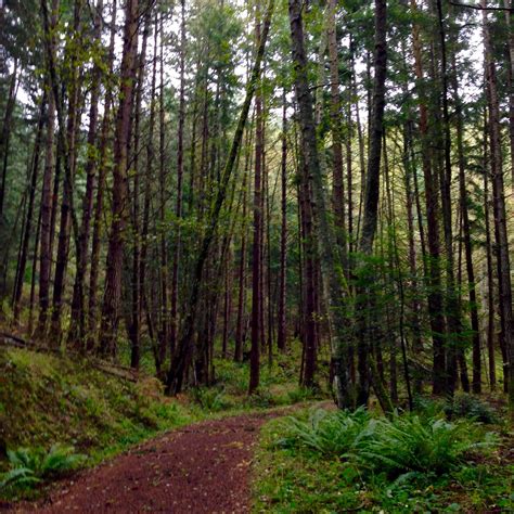 Visit West Sound: 2026 Travel Guide for West Sound, Eastsound | Expedia