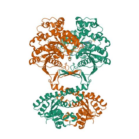 Rcsb Pdb Thz Crystal Structure Of Avian Aicar Transformylase In