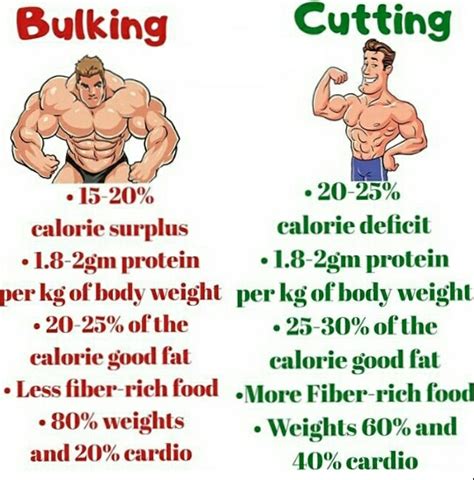 Bulking And Cutting Same Time Mavenlasopa