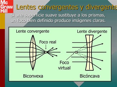 Evolução Divergente E Convergente - 7