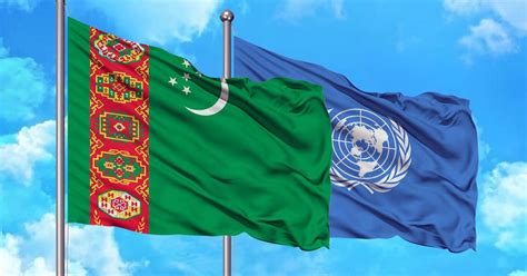 Сотрудничество