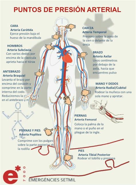 Cuidados Y Tecnicas De Enfermer A Puntos De Presi N Arterial