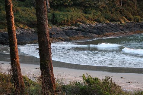 Free Images Landscape Sea Coast Tree Nature Rock Wilderness