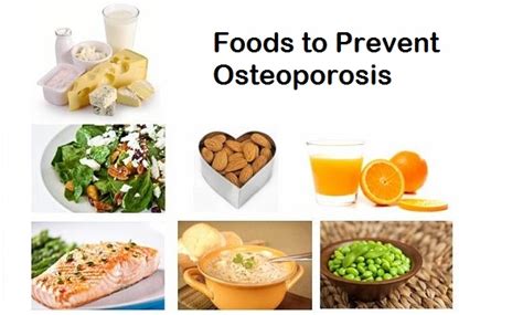 Foods To Prevent Osteoporosis Healthandlife Hot Sex Picture