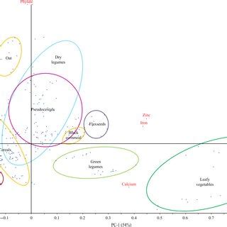 principal component analysis biplot representing  common food