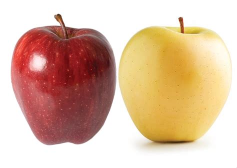 Apple_golden+Red_delicious – Kaipara Coast Plant Centre & Sculpture Gardens