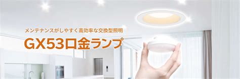 GX53口金ランプ | LED照明「省エネ大賞」受賞 | 環境 | 取り組み事例 | アイリスグループのサステナビリティ | 企業情報 ...