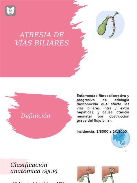 Atresia De VÍas Biliares Pdf Hígado Medicina Clinica