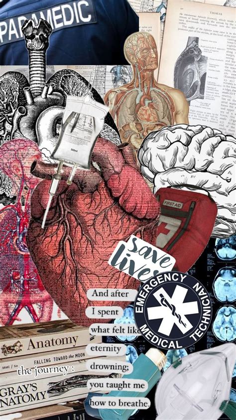Emt Paramedic Emergencyservices Anatomyandphysiology Dreamjob