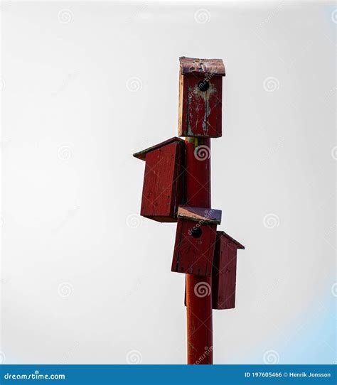 Birdhouses on a Wooden Pole Stock Photo - Image of object, hole: 197605466
