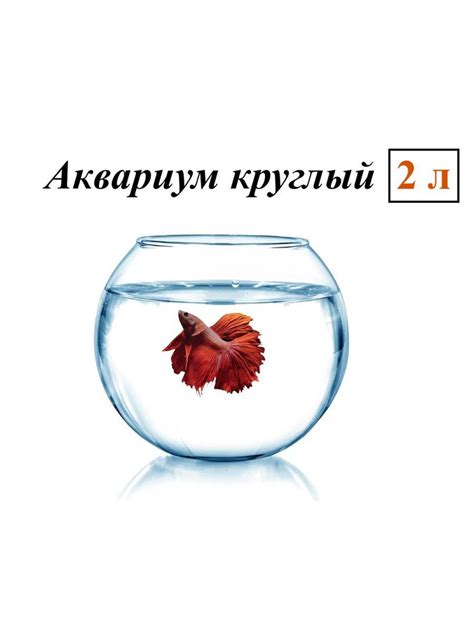 Круглый аквариум шар, ваза для декора, рыбок, 2 литра - купить с ...