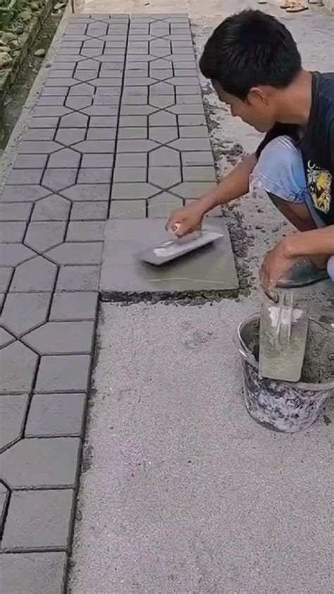 Казацкий можжевельник Рокери Джем | Green carpet, Front landscaping ...