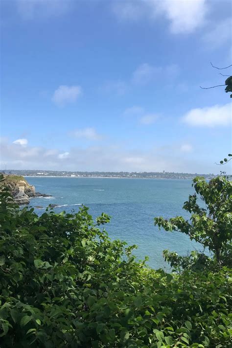 The Newport Cliff Walk In Newport Rhode Island Shorelines